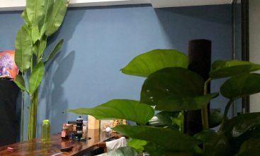 Bán căn hộ 1 phòng ngủ chung cư The Park Residence